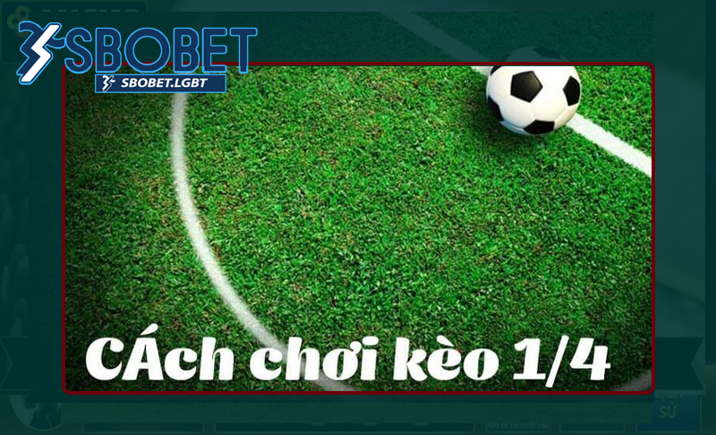 Hiểu rõ về cách đọc tỷ lệ kèo cược 1/4