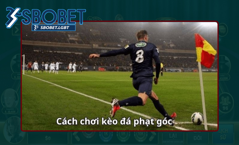 Chuyên gia bật mí chiến thuật soi kèo phạt góc thắng lớn