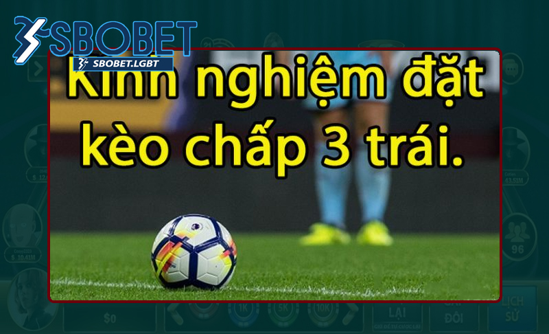 Sử dụng lối chơi đơn giản mang lại tỷ lệ thắng cao